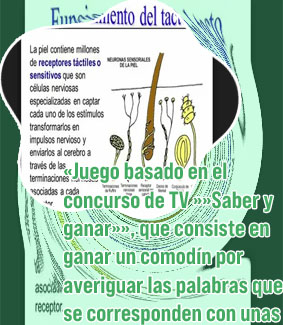 Como funciona el comodin en las apuestas